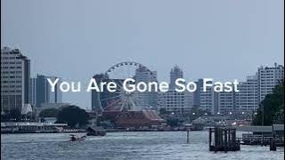You Are Gone So Fast - Brian rahmattio (short video lyrics)