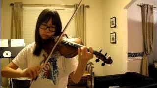 Because I'm Stupid (내 머리가 나빠서) Violin Cover [Sheet music link!]