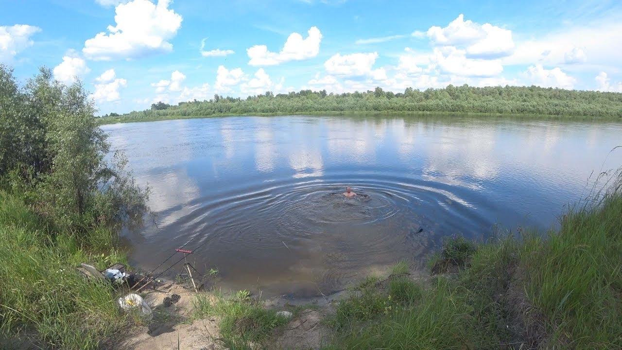 Рибалка на дикій Десні за 100 кілометрів від Києва