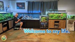 Unveiling my home fish room
