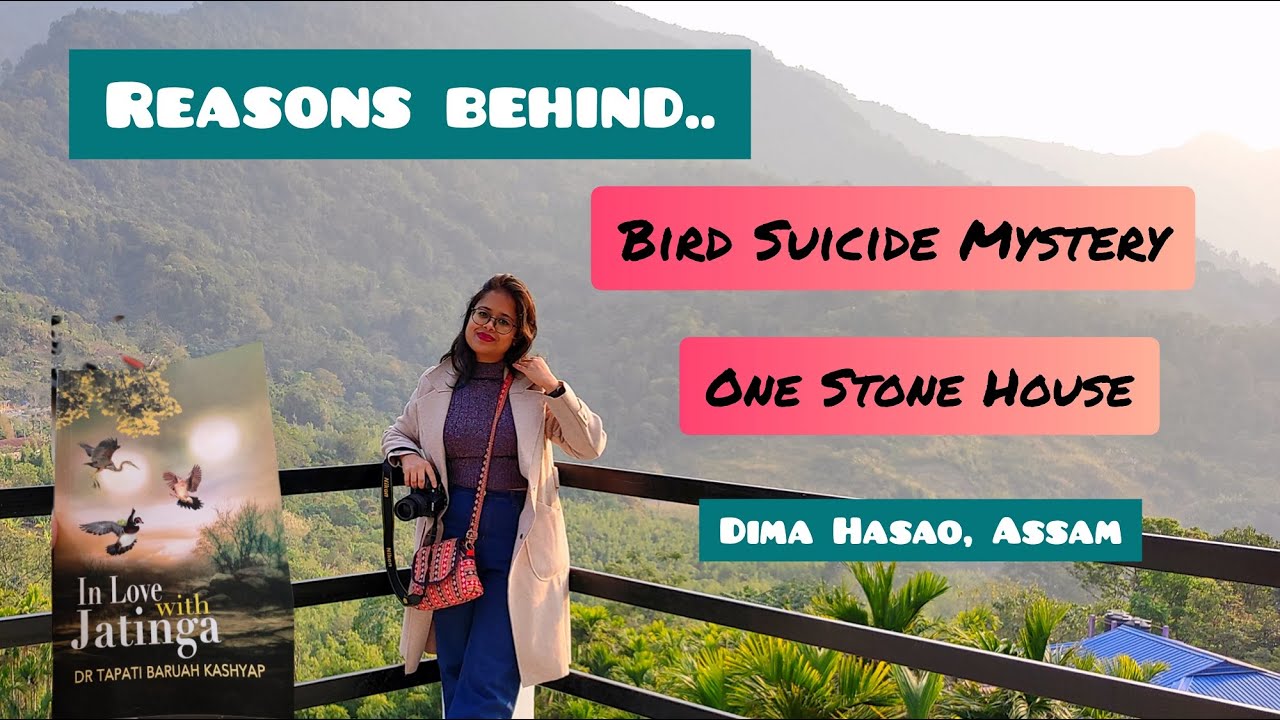 Bird Suicide Mystery,Jatinga | One Stone House | Judima(Dimasa Rice Wine) | Dima Hasao Vlog-Part 2