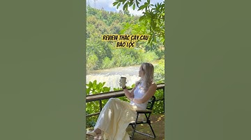 Quán cafe view thác ở Bảo Lộc giữ trọn độ hoang sơ thiên nhiên bạn đã đi chưa? #catrin #baoloc