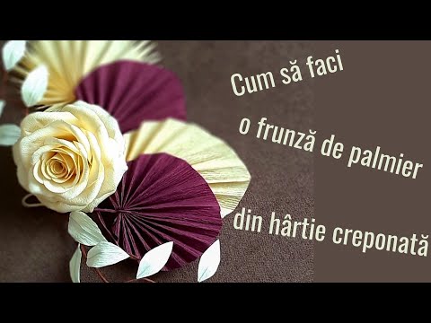 Video: Cum Se Fac Frunze De Palmier