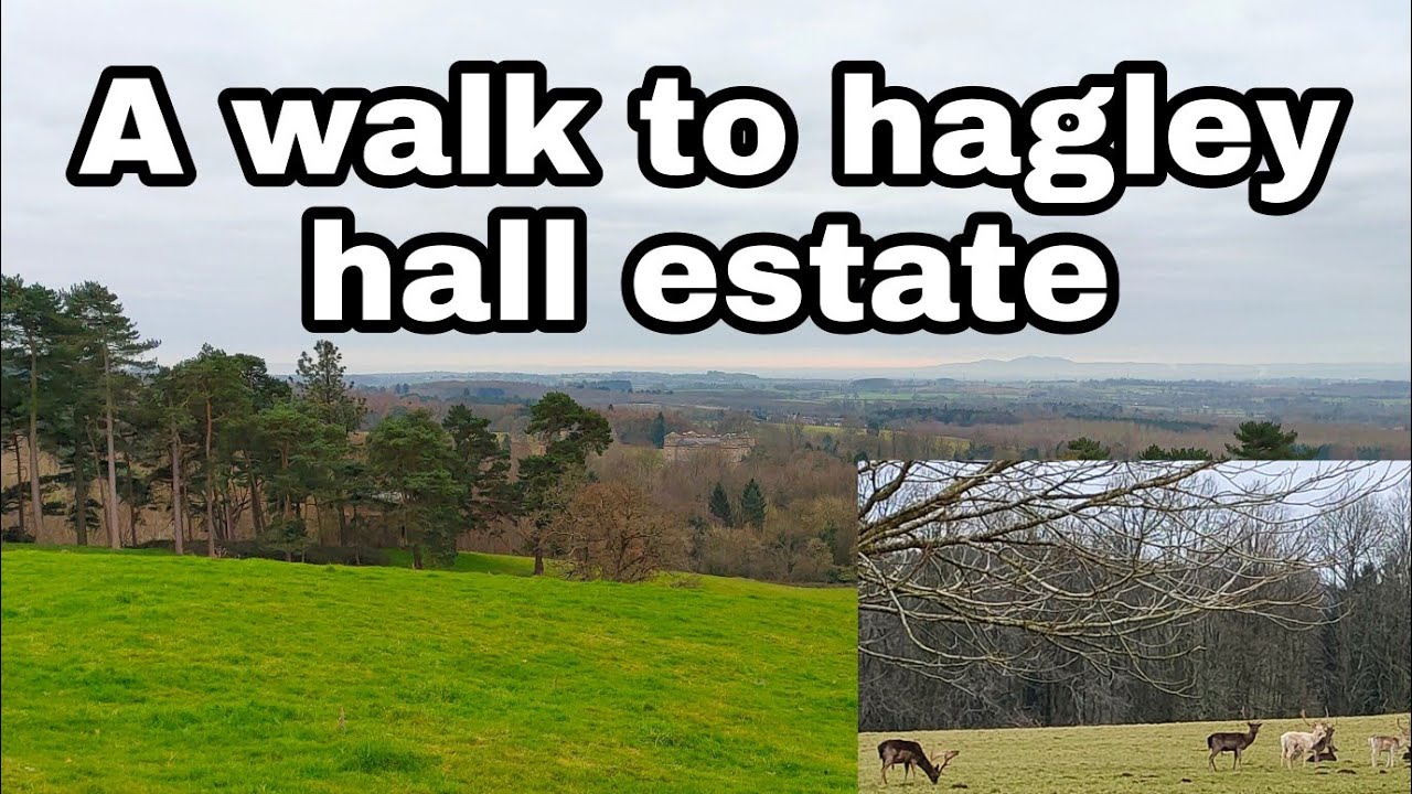 A walk to hagley hall estate | English country walks | Walking uk