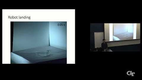 "Insect Scale Multifunctional Micro-Aerial-Robots Powered by Soft Artificial Muscles"