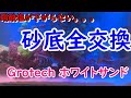 海水水槽　砂底全交換　ろ過システム変更（脱膣強化）！