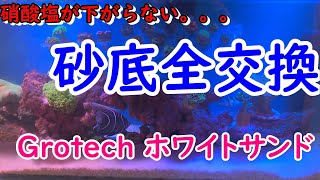 海水水槽　砂底全交換　ろ過システム変更（脱膣強化）！