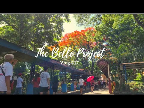 vlog #17 | summer of 2022 | the belle project