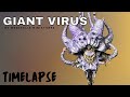 Giant Virus | Westfalia Miniatures | Timelapse
