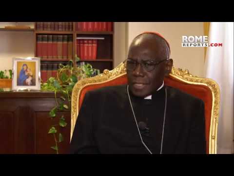 Card. Sarah celebrates 50 years as priest: I am faithful to the pope. Some want to oppose us