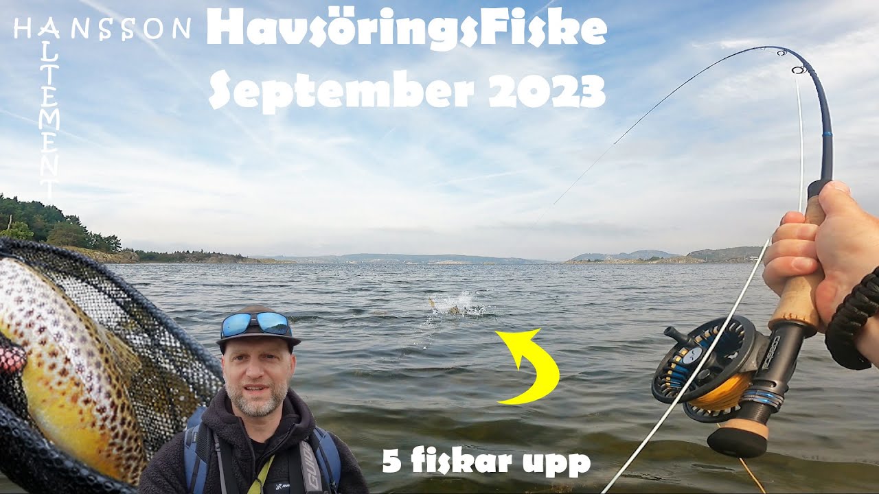 HavsöringsFiske September 2023