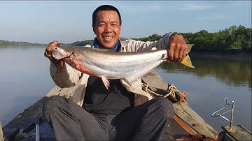 Câu cá Bông Lau đầu năm, câu được cá Bông Lau khủng | Sông Nước Cần Giờ - Châu Huỳnh.