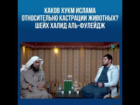 Каков хукм Ислама относительно кастрации животных?Шейх Халид аль-Фулейдж.
