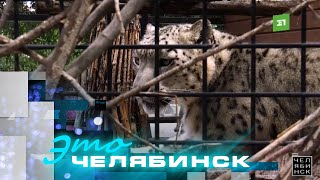 картинка: Это Челябинск: городской зоопарк. Часть 2