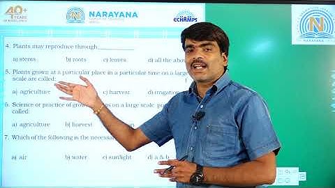 13TH AUG PAN INDIA CLASS V SCIENCE REVISION ASSIGNMENT 2 KEY