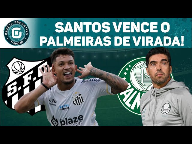 Confira os memes da vitória do Palmeiras sobre Flamengo - Gazeta Esportiva