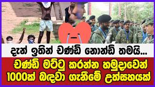 දැන් ඉතින් චණ්ඩි නොන්ඩි තමයි...චණ්ඩි මට්ටු කරන්න හමුදාවෙන් 1000ක් බඳවා ගැනීමේ උත්සහයක්