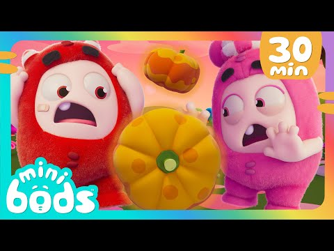 Cuidado! Caos das Abóboras! 😲 | 30 MINUTOS DE MINIBODS BRASIL 🤣 | Desenhos Animados em Português