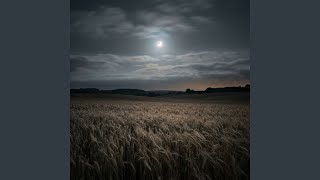 10.5 Hz Alpha Sleep Waves for Overnight Rest - Quiet Ember Stillness