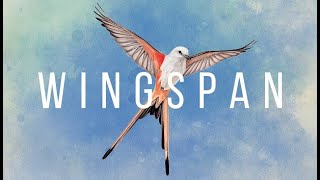 Wingspan - КАРТОЧНАЯ ИГРА О ПТИЦАХ, ДЛЯ ЛЮБИТЕЛЕЙ СПОКОЙНЫХ ИГР, ПТИЦЫ ВСЕГО МИРА