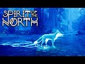 Slipping Into the Spirit Realm?! 🦊 Spirit of the North • #17