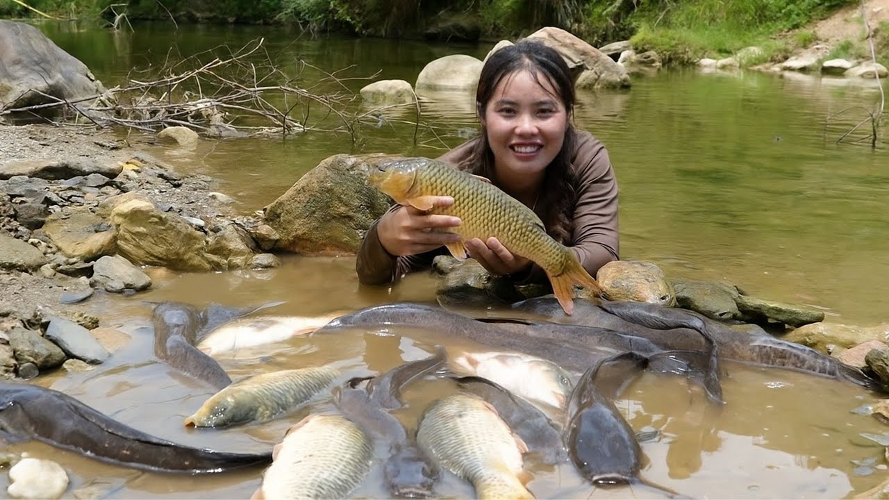 How to catch giant river fish to sell at the market - cook fish porridge for little daughter to eat