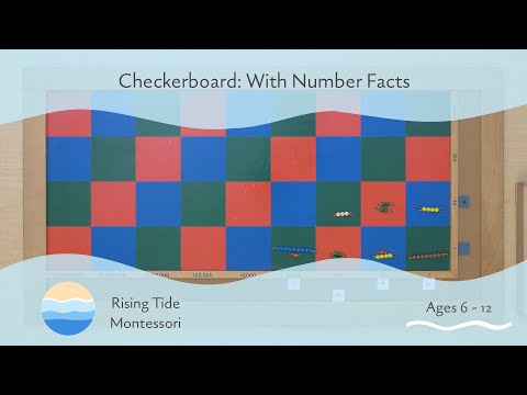 Checkerboard: With Number Facts