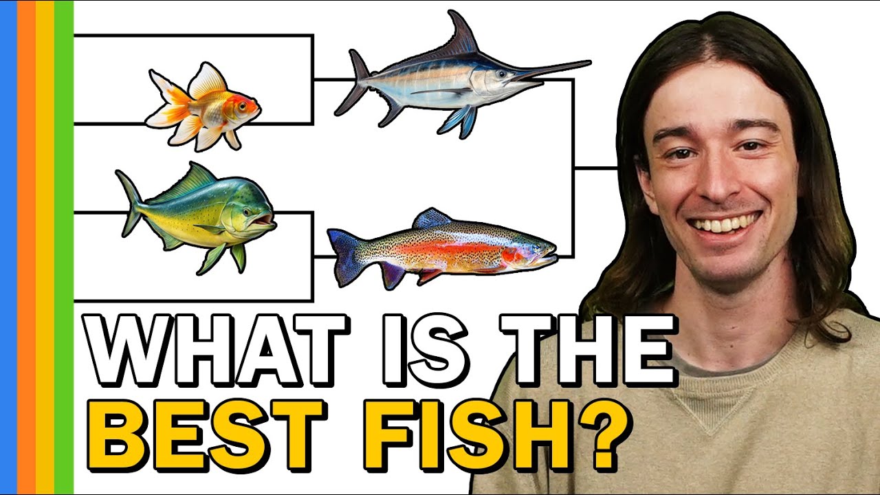 Fish Bracket (with Hunter Viers)