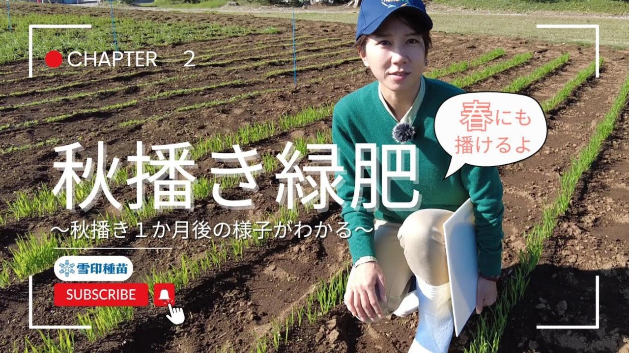 ＃2　秋播き緑肥