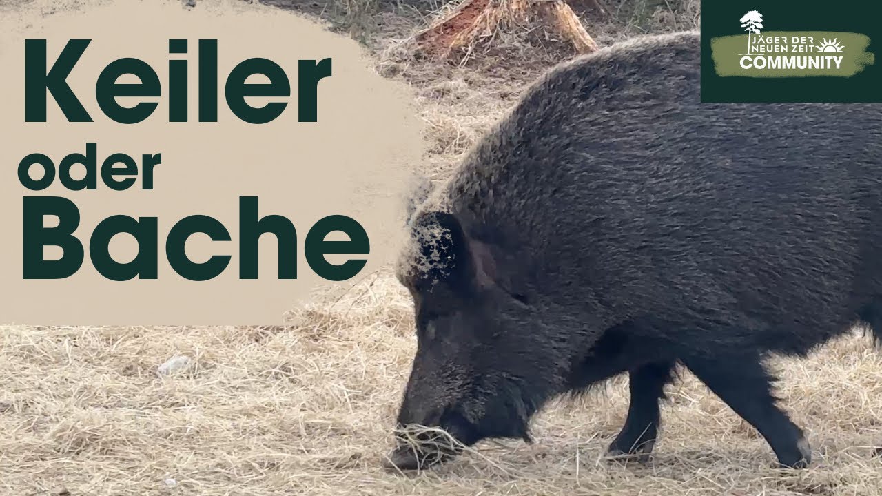 Das RISIKO ist HOCH! Warum Du diesen katastrophalen Ansprachefehler unbedingt vermeiden musst.