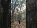 easy drawing in nature with me