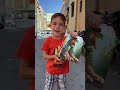 وجبات غريبة جدا 