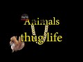 Animals thug life  trimi production