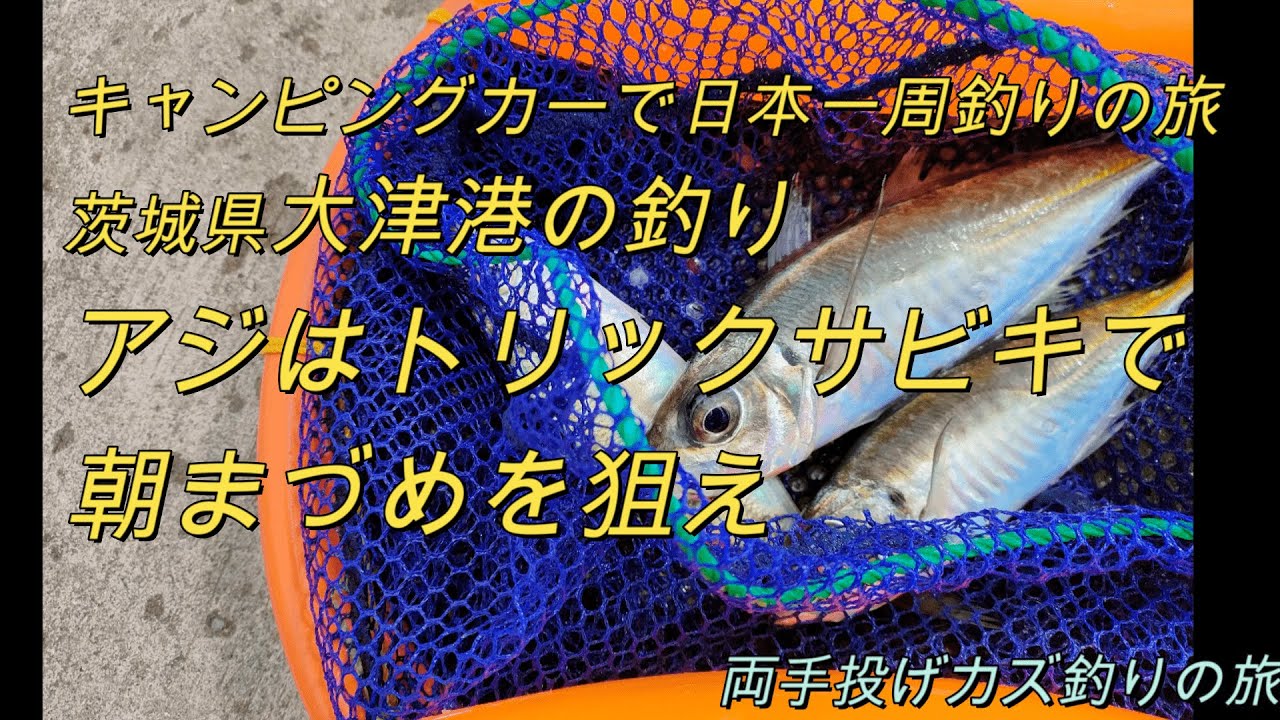 Fishing in Ibaraki Prefecture, targeting horse mackerel at Otsu