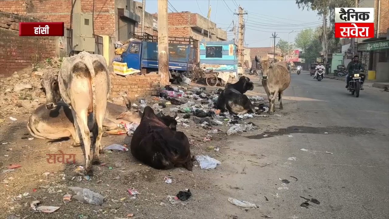 हांसी शहर की सड़कों पर पसरा कचरा: लोगों  के लिए बना मुसीबत