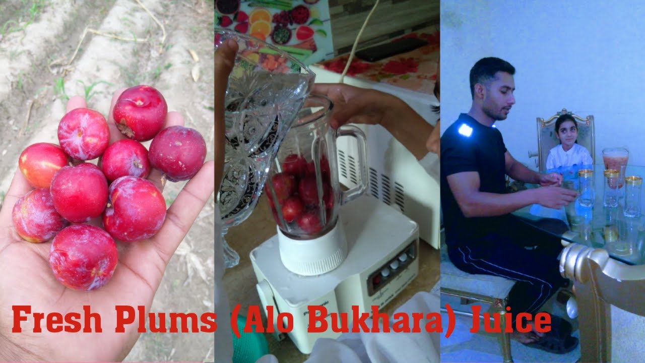 Fresh Plums Juice Making... Summer Gift YouTube