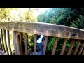 Twin Falls Hike - Snoqualmie, WA - GoPro by Trevor Roberge