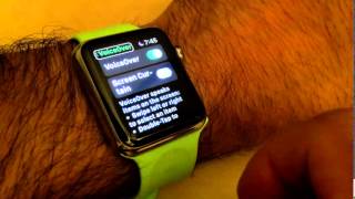 VoiceOver on Apple Watch