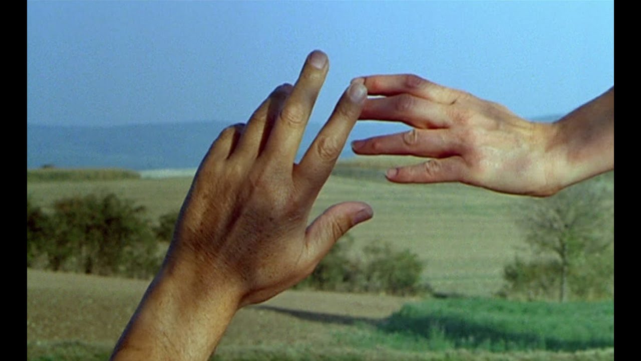 Chauffeur at the Speed of Light - William Carlos Whitten/Diana Crash