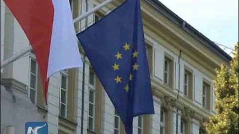 Envoy on Xi's Poland visit