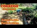 CÓRREGO-ANTES E DEPOIS/ÁRVORES PERDIDAS NO SÍTIO/PLANTIO INHAME/Bora pra Roça?