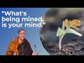 Dr. Vandana Shiva - The Plan of The 1% to Make You DISPOSABLE through Divide & Rule