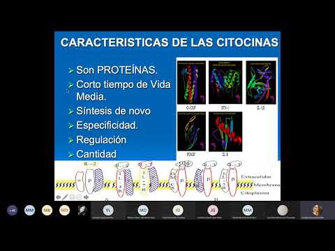 Vídeo: La Importancia Biológica Y Clínica De Las Citocinas De 'nueva Generación' En Las Enfermedades Reumáticas