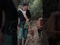 Slow living, quiet life, taking the cows to graze #shorts
