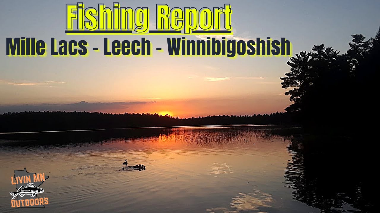 Fishing Report Mille Lacs Lake, Leech Lake & Lake Winnibigoshish 09092022 YouTube