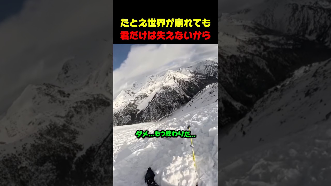最後まで飼い主を追った愛犬