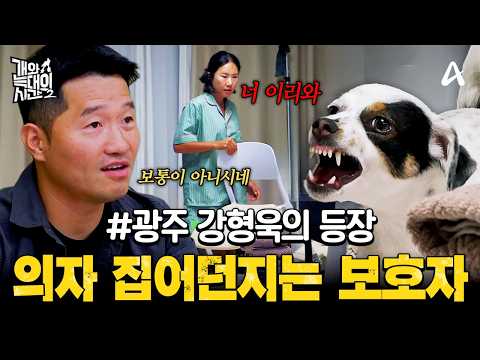 [#ClipDelivery] The Jack Russell notorious for being a total terror⚡ An extraordinary owner who k...