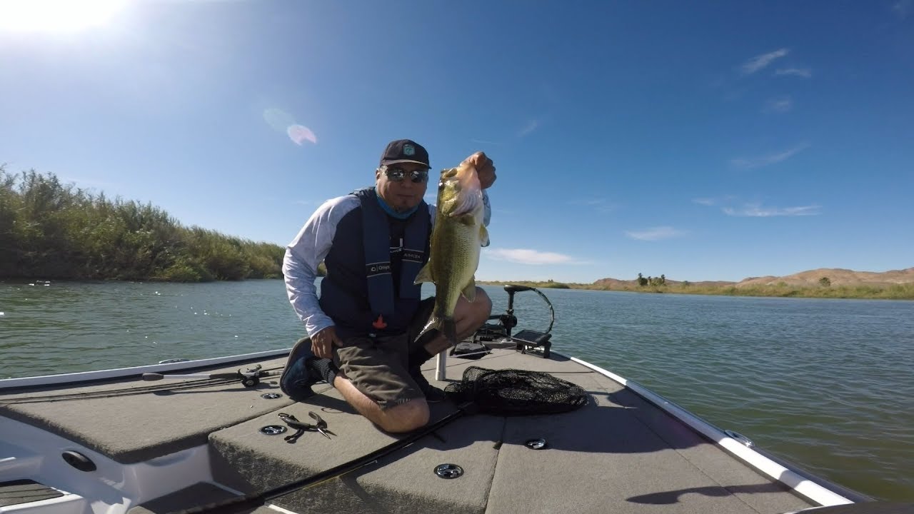 MARTINEZ LAKE, AZ YouTube
