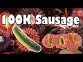 100K Sausage