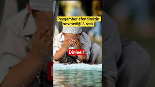 peygamberimizin sevmediği 3 renk #dinihikaye #hayalhanem #sözlerköşkü #dinivideolar